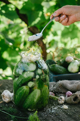 Pickled cucumbers with herbs and spices
