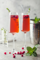 Colorful Red alcoholic cocktail