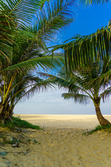 Obraz premium tropical beach