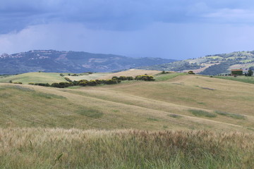 Le dolci colline senesi
