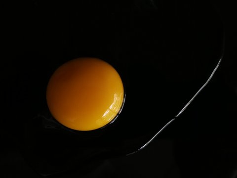 tuorlo d'uovo