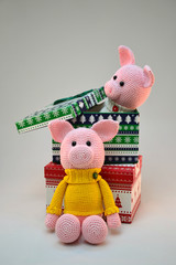 piglets in a festive gift box
