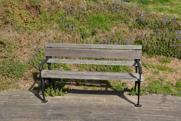 Rosh HaAyin Landscape 2
