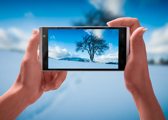 The tree on a snowy hill on screen of smartphone