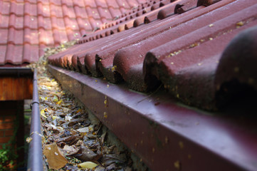 Clogged gutter