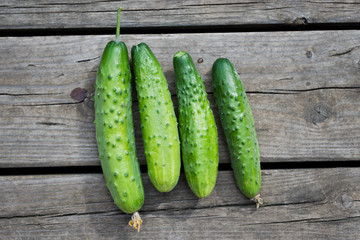 fresh farm cucumbers