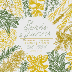 Culinary herbs and spices banner template. Vector background for design menu, packaging, recipes, label, farm market products. Hand drawn vintage botanical illustration.