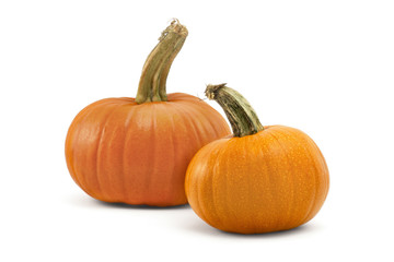 Two pumpkins isolated on white background