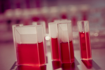 Quartz cuvettes for Chromatography and spectrophotometry in the study of liquids