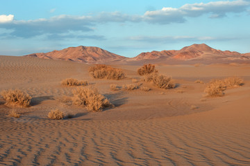 Fototapeta na wymiar Aird landscape in Yazd desert, southern Iran