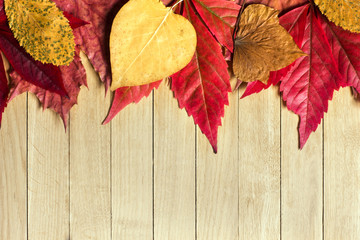 Naklejka na ściany i meble Beautiful colorful autumn leaves on wooden background