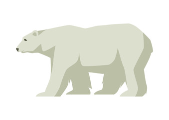 Obraz na płótnie Canvas Polar white bear. Illustration of a northern animal