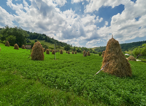 Traditional haystacks in a beautiful green environment
