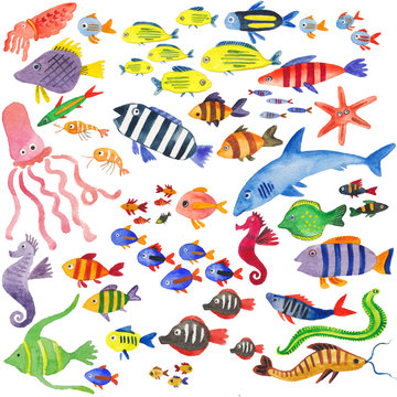 набор рыб и морских жителей, акварельная иллюстрация с подводным миром