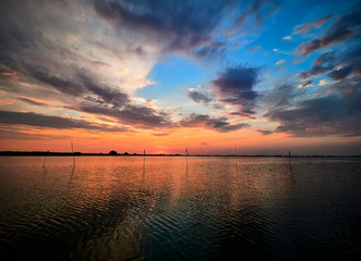 Beautiful sunrise in the Danube Delta, Romania. Nature, wild
