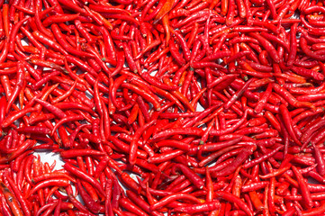 Fototapeta premium Red chilli exposed to sunlight to get dried