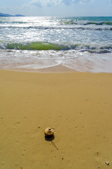 Fototapeta na wymiar Coconut with drinking straw on beach