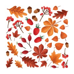 Fototapeta premium Square backdrop with textured fallen tree autumn leaves or dried foliage, acorns, nuts, berries on white background. Elegant seasonal decoration. Colorful vector illustration in modern trendy style.