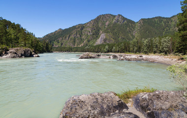 Obraz premium View of the Katun River, Altai, Russia