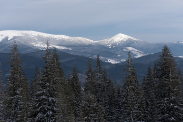 Fototapeta na wymiar Winter landscape with mountain tops in the snow