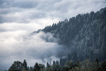 Obrazy na Szkle  Niesamowity widok z lotu ptaka na zimne, mgliste góry. Krajobraz chmur i lasów