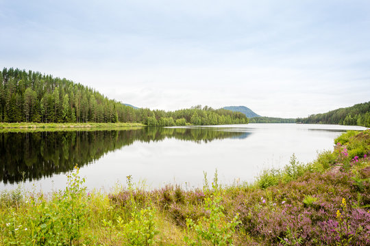 svenska fjällen med fjäll i bakgrunden som reflekteras i sjö