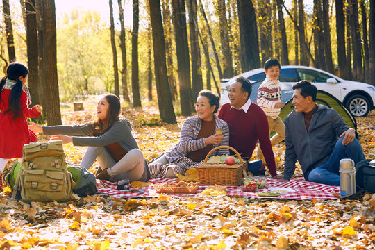 Happy family outdoor outing
