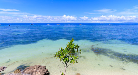 Beautiful View Of Alona Beach In Panglao Island, Philippines