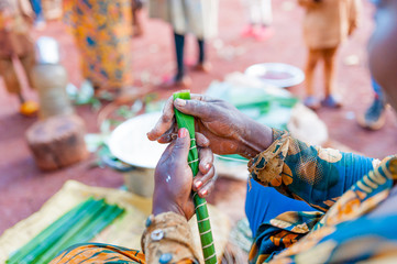 detail of african woman hand wrapping traditonal cameroonian baton de manioc with manioca and green...
