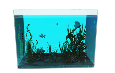 Aquarium mit Wasser und Fischen