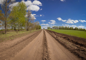 Naklejka premium Rural road