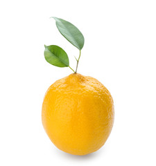 Whole ripe lemon on white background