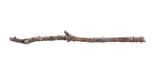 Dry and rotten branch isolated on white background