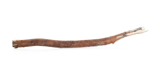 Dry and rotten branch isolated on white background