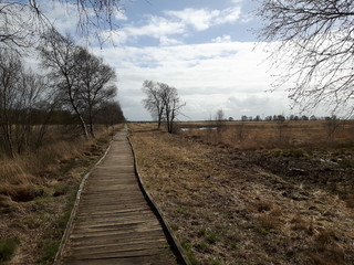 Wanderweg am Ewigen Meer Eversmeer in Ostfriesland 2