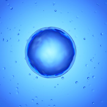 3d rendered medically accurate illustration of a human egg cell