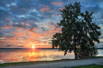 Рассвет на Валдае и дерево Dawn in Valdai and the tree on the shore