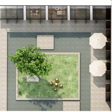 3d render top view of house gardeb