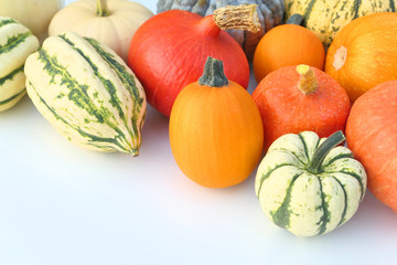 Pumpkins and squashes varieties