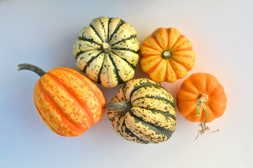 Winter squashes