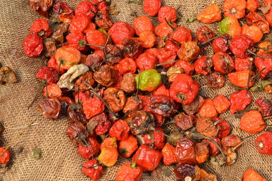 dried peppadews