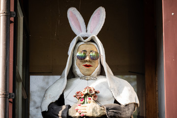 rabbit none 