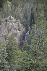 waterfall fish creek