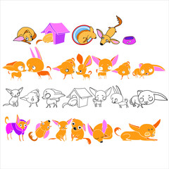 Naklejka premium Set of illustrations, in vector, home pet, for design
