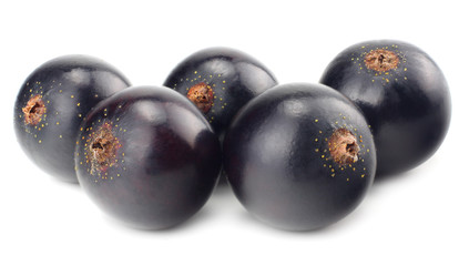 black currant isolated on white background. macro