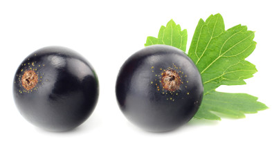 black currant with green leaf isolated on white background. macro