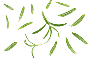rosemary leaves isolated on white background. top view