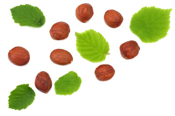 hazelnuts with leaves isolated on white background. top view