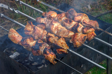 The meat preparing on the coals at picnic time
