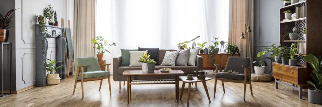 Vintage style living room interior with windows with curtains, grey and mint armchairs, sofa with pillows and many fresh plants